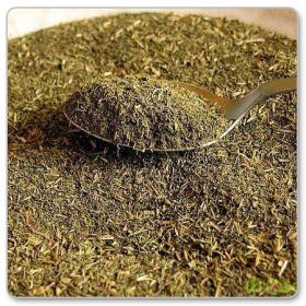 Stewia - naturalny słodzik (Stevia rebaudiana)